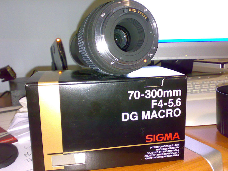 29052009517.jpg
