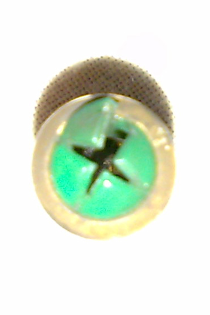 29052013760_.jpg