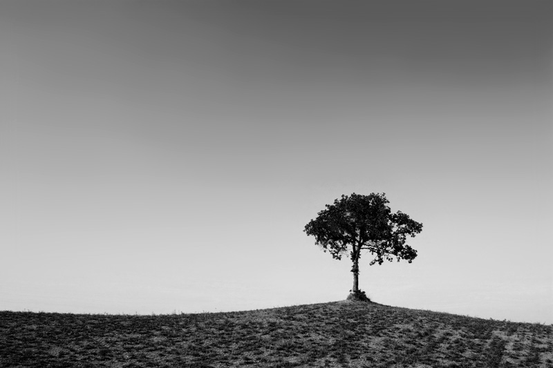 2937435267_59369c6d6f_o.jpg