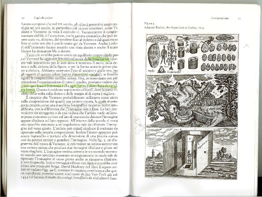 2 - Mary Acton a proposito di Giovane donna in azzurro che legge una lettera di Jan Vermeer  Einaudi editore.jpg