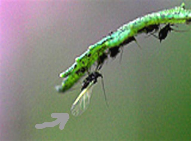 2 copia (Small).jpg