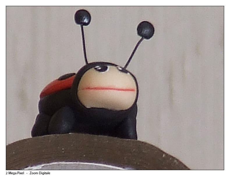2mp.jpg