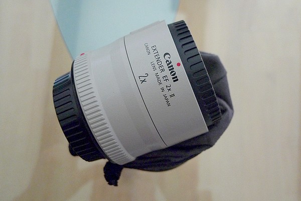 2xRid806.JPG