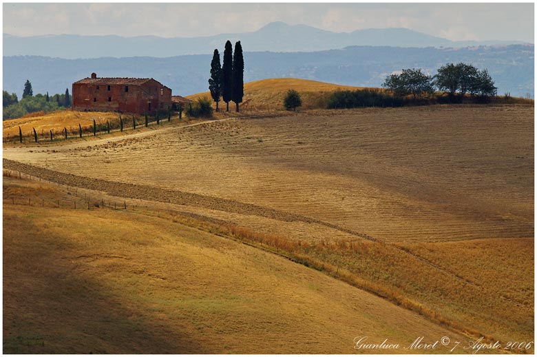3-cipressi_833.jpg