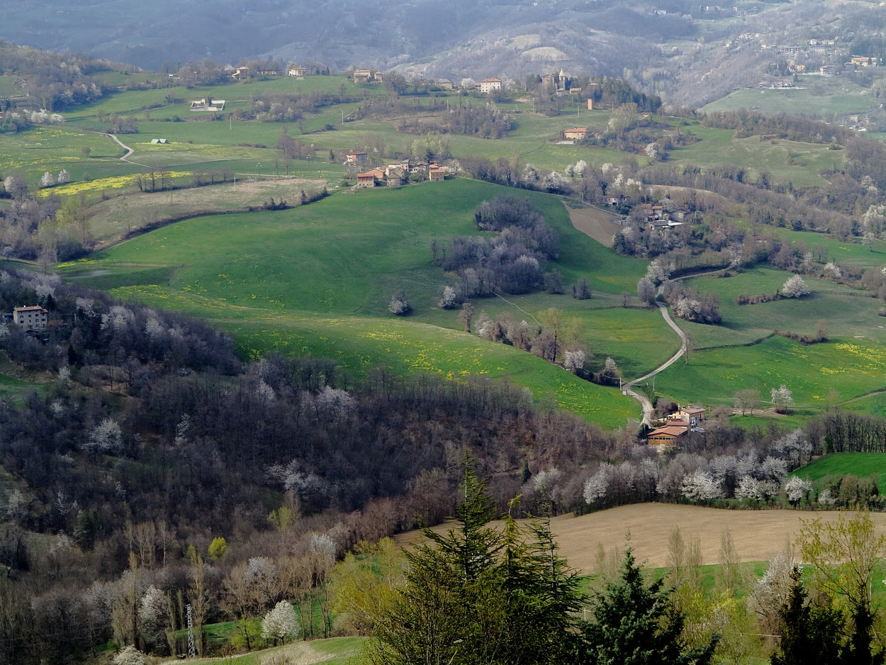 3-pavullo-originale.jpg