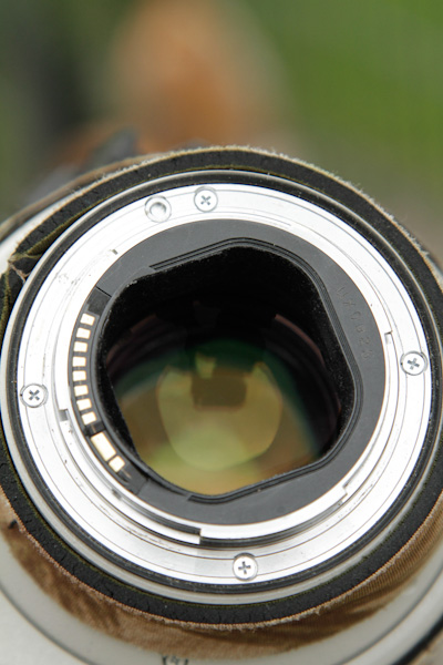 300-5054.jpg