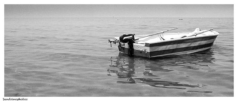 30062012-30062012-P1140008_2-2.jpg