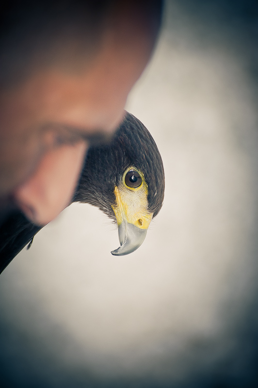 30082011-roccacalascio (529 di 705)miccio.jpg