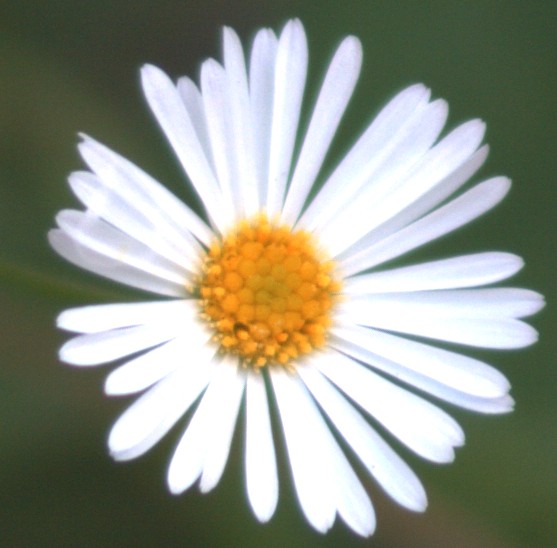 300 5.6b.jpg
