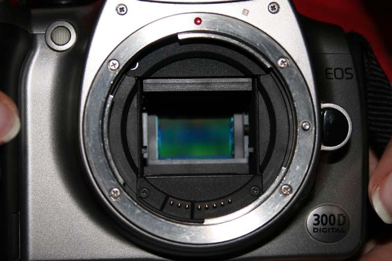 300D3.jpg