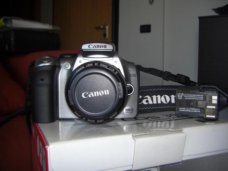 300d.jpg