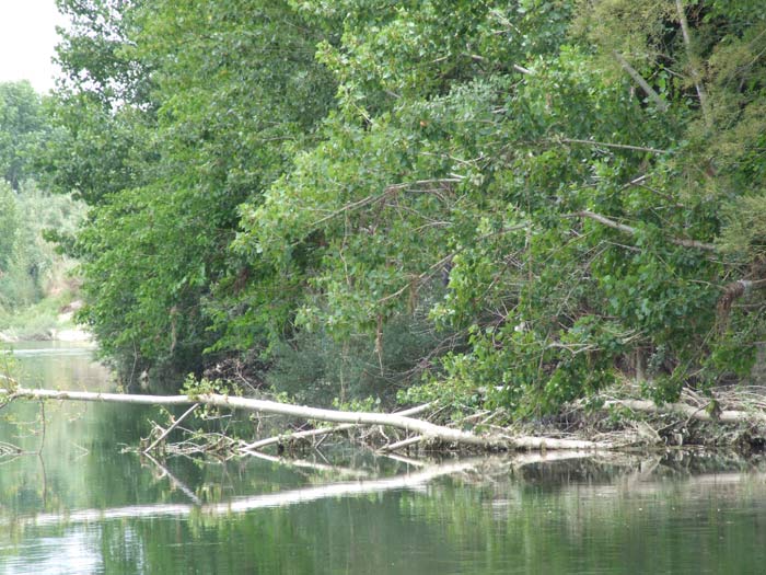 300f4.9_1.jpg