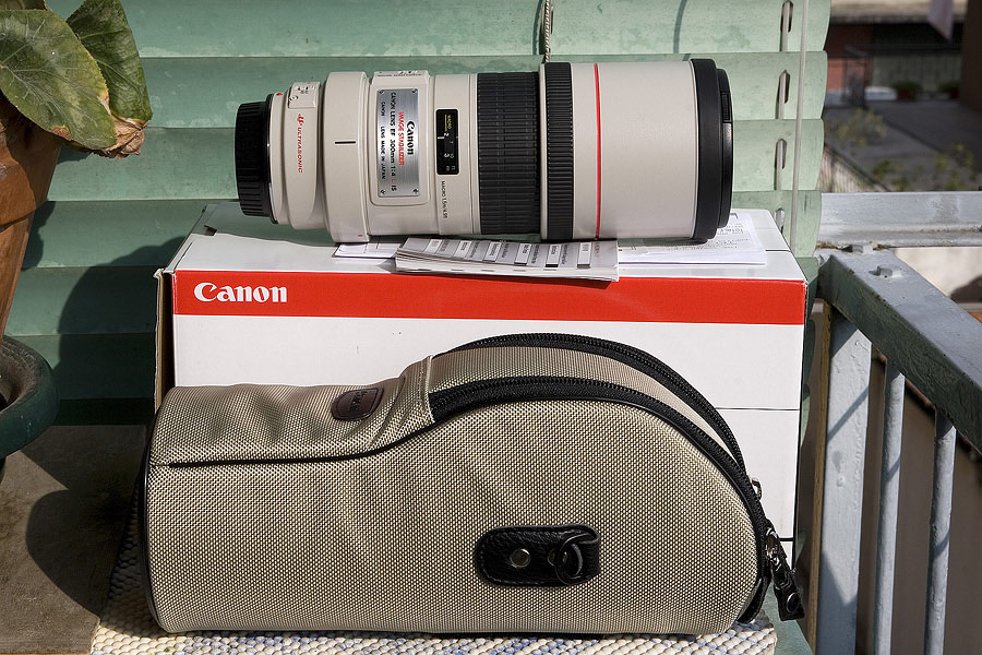 300mm-+++.jpg