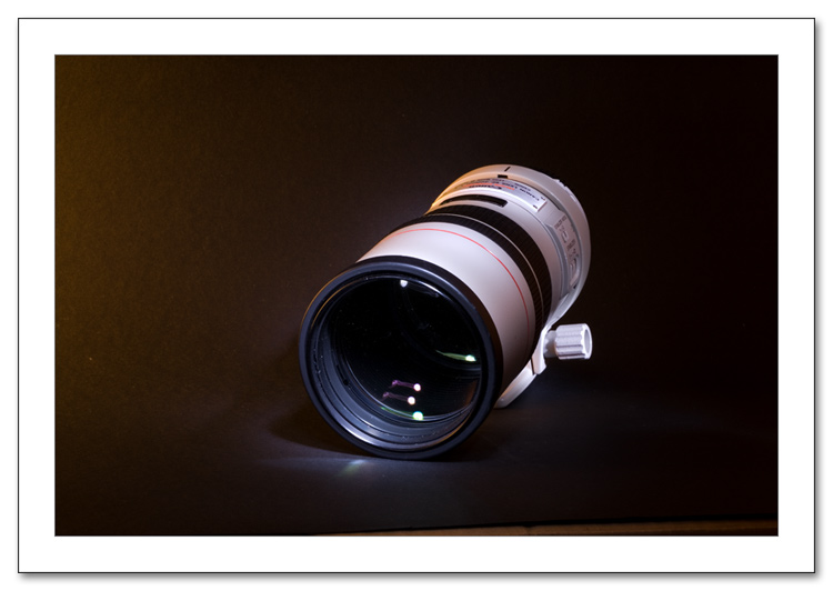 300mm_1.jpg