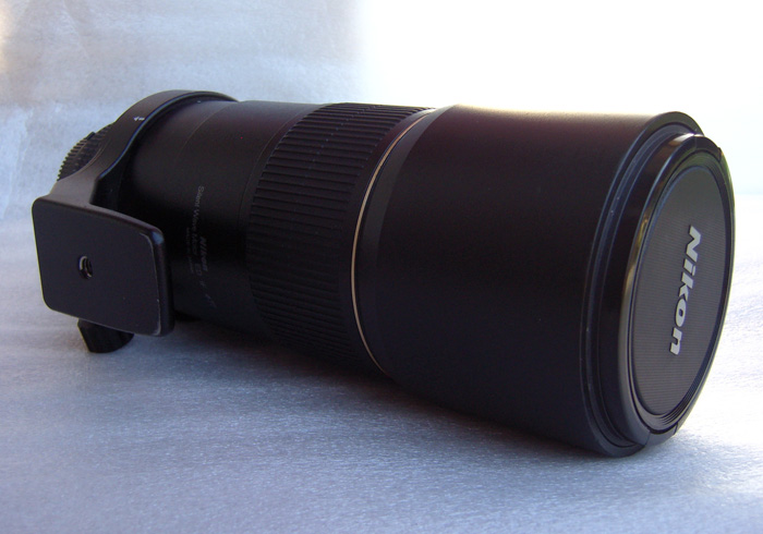 300mm B.JPG
