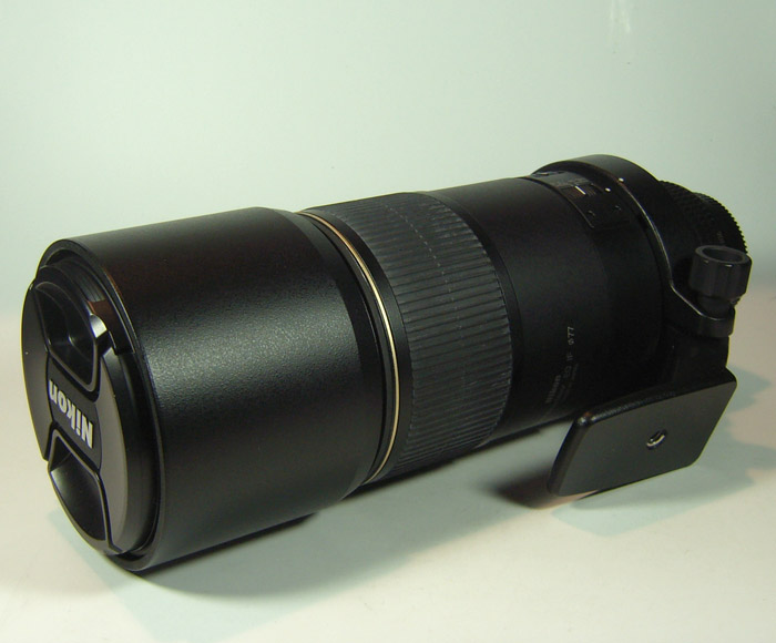 300mm C.JPG
