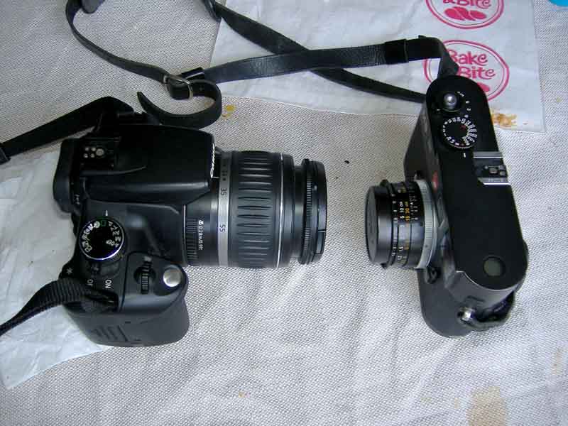 350-m8.jpg