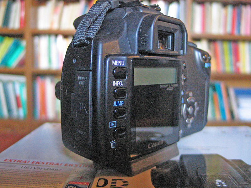 350.jpg