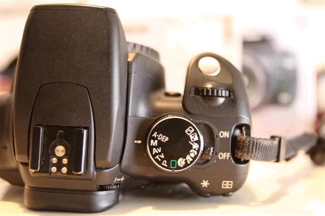 350d-3 (Small).JPG