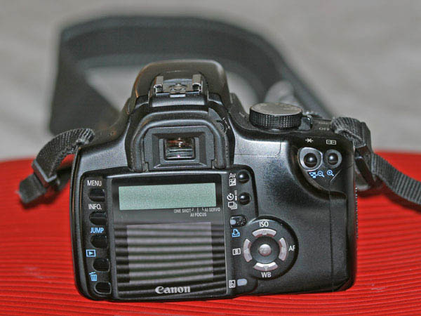 350D1.jpg