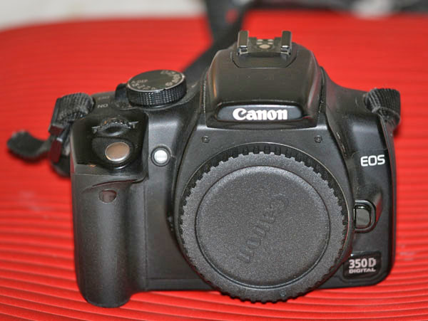 350D2.JPG