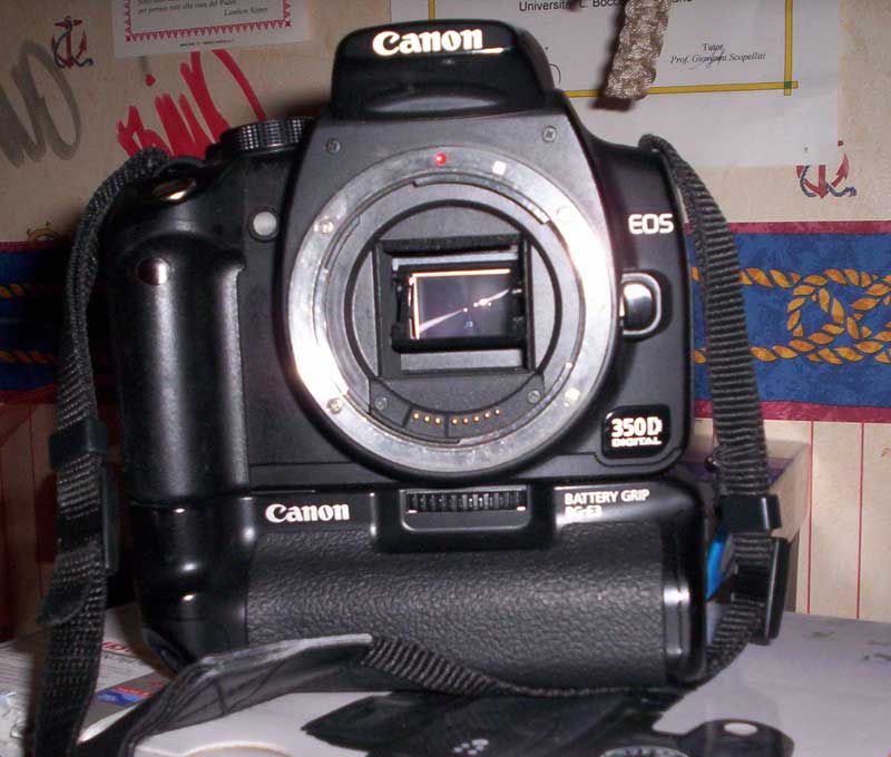 350d2.jpg