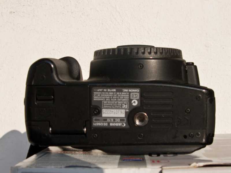 350D_004.jpg