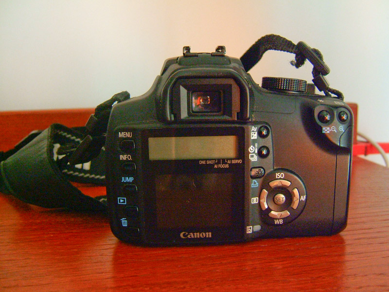 350D_1557.jpg
