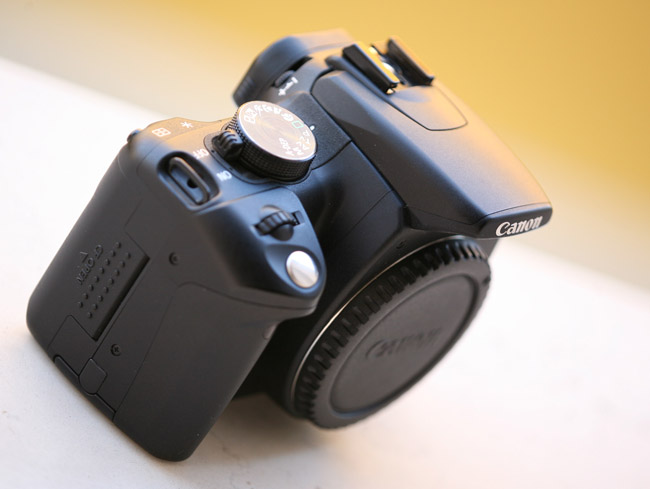 350d 2.jpg