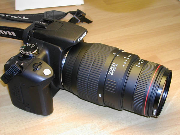 350D + Sigma 70-300 Apo Macro 2.jpg