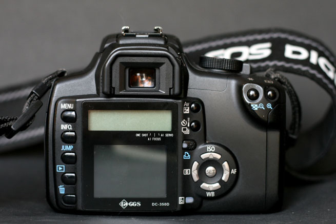 350d back.JPG