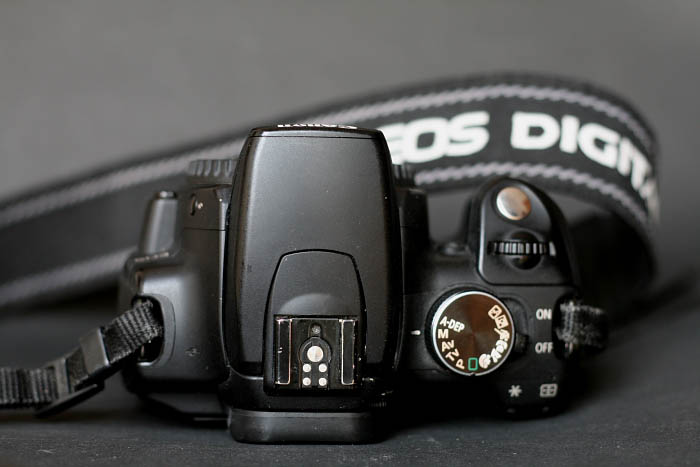 350d up.JPG