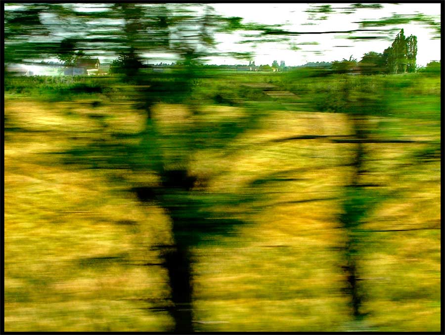 37005711.Train2__DSCF0614.jpg