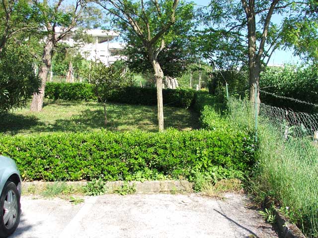 3_5500.jpg