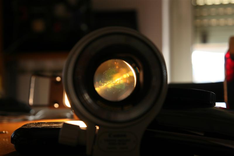 3 (Medium).jpg