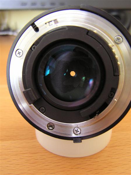 3 (Medium).JPG