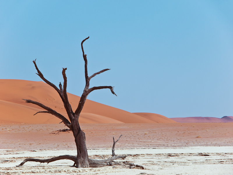 3 Dead-Vlei-stillweb.jpg