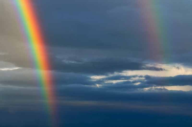 3_DSC_4492.jpg