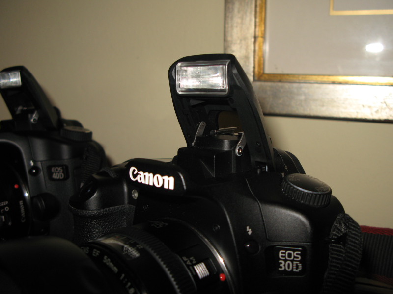 40D-559.JPG