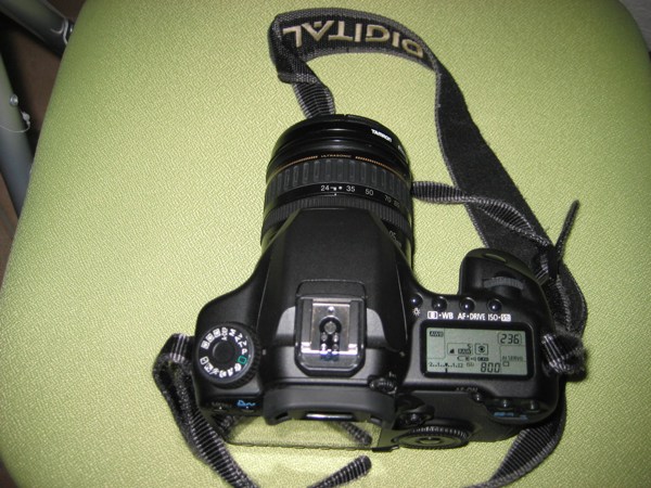 40d-6.jpg
