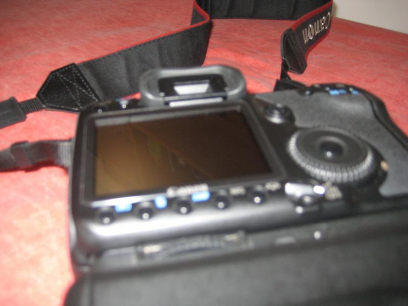 40d (15).JPG
