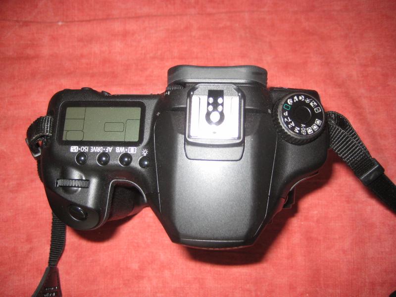 40d (4).jpg