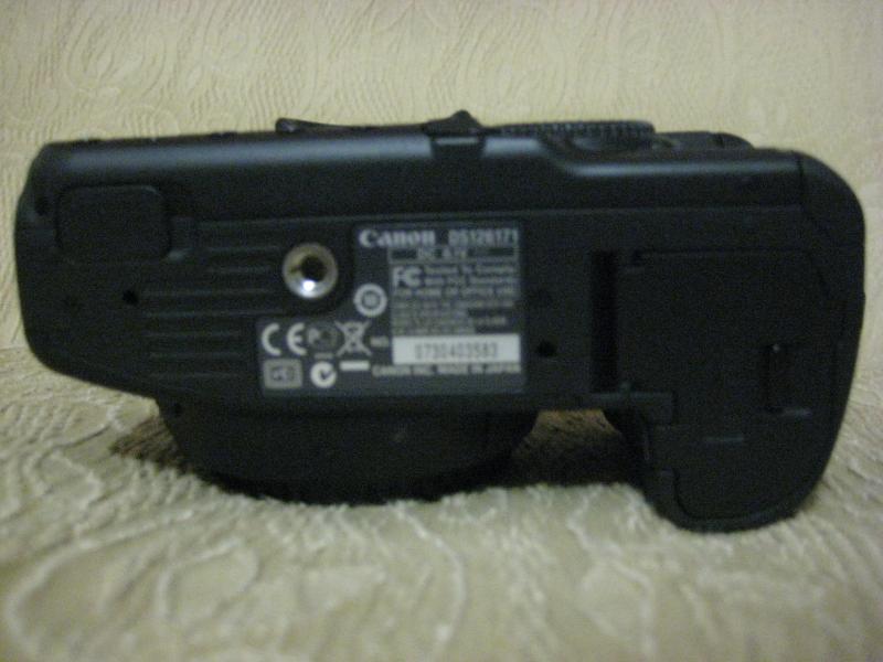 40d (8).JPG