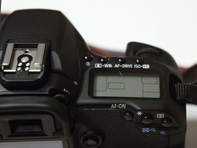 40D (8 di 13).jpg