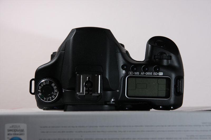 40d pic 3.jpg