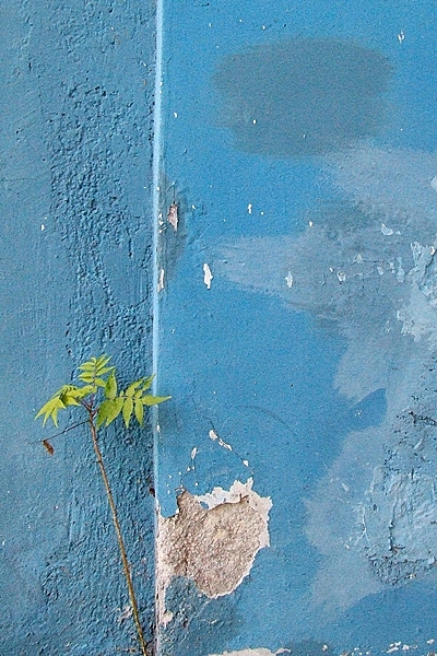 42.jpg