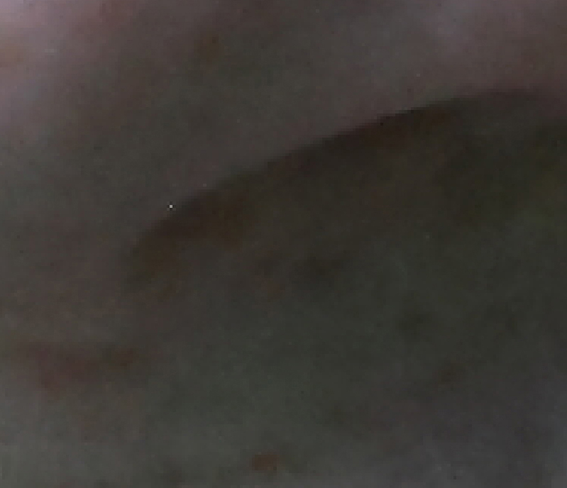 43634543.jpg