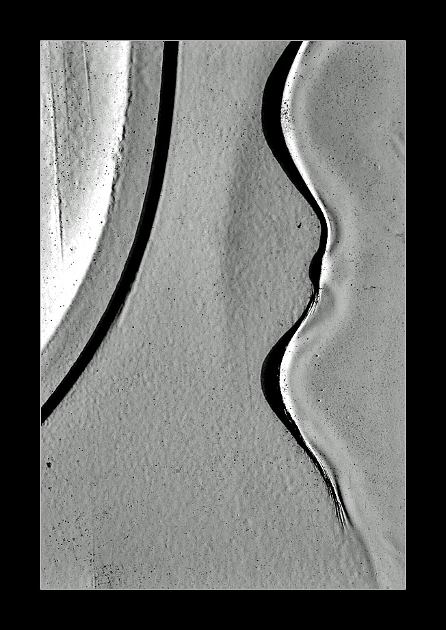 4381web.jpg