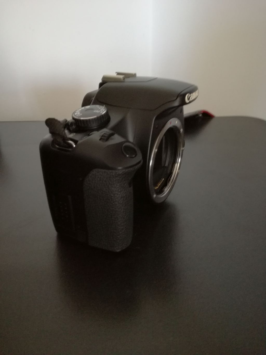 450d_2.jpg
