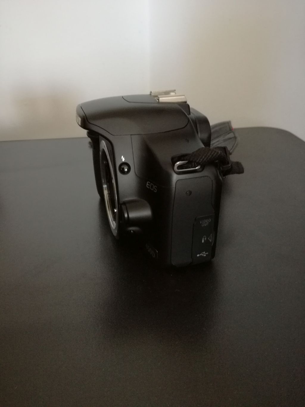 450d_3.jpg